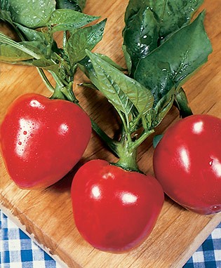 Sweet Red Cherry Pepper